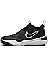 Nike Kids Team Hustle D 11 Basketball Trainers